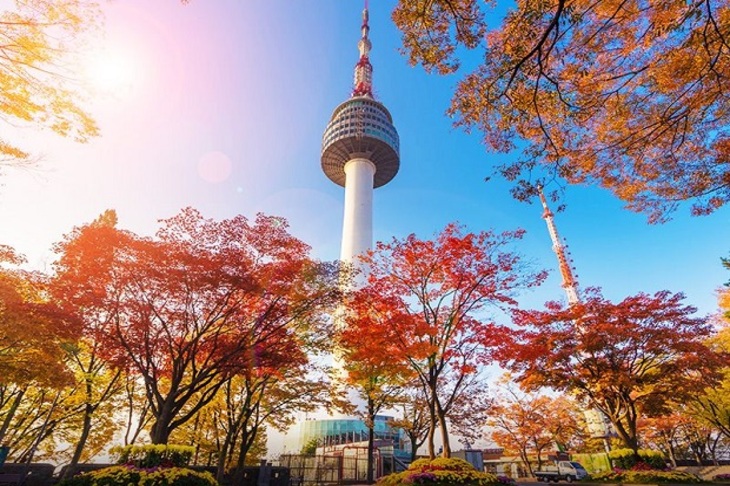 Du Lịch Hàn Quốc: Hà Nội - Seoul - Đảo Nami - Công viên Everland - Thư Viện Starfield - Painter Show 5 Ngày Bay Asiana Airlines